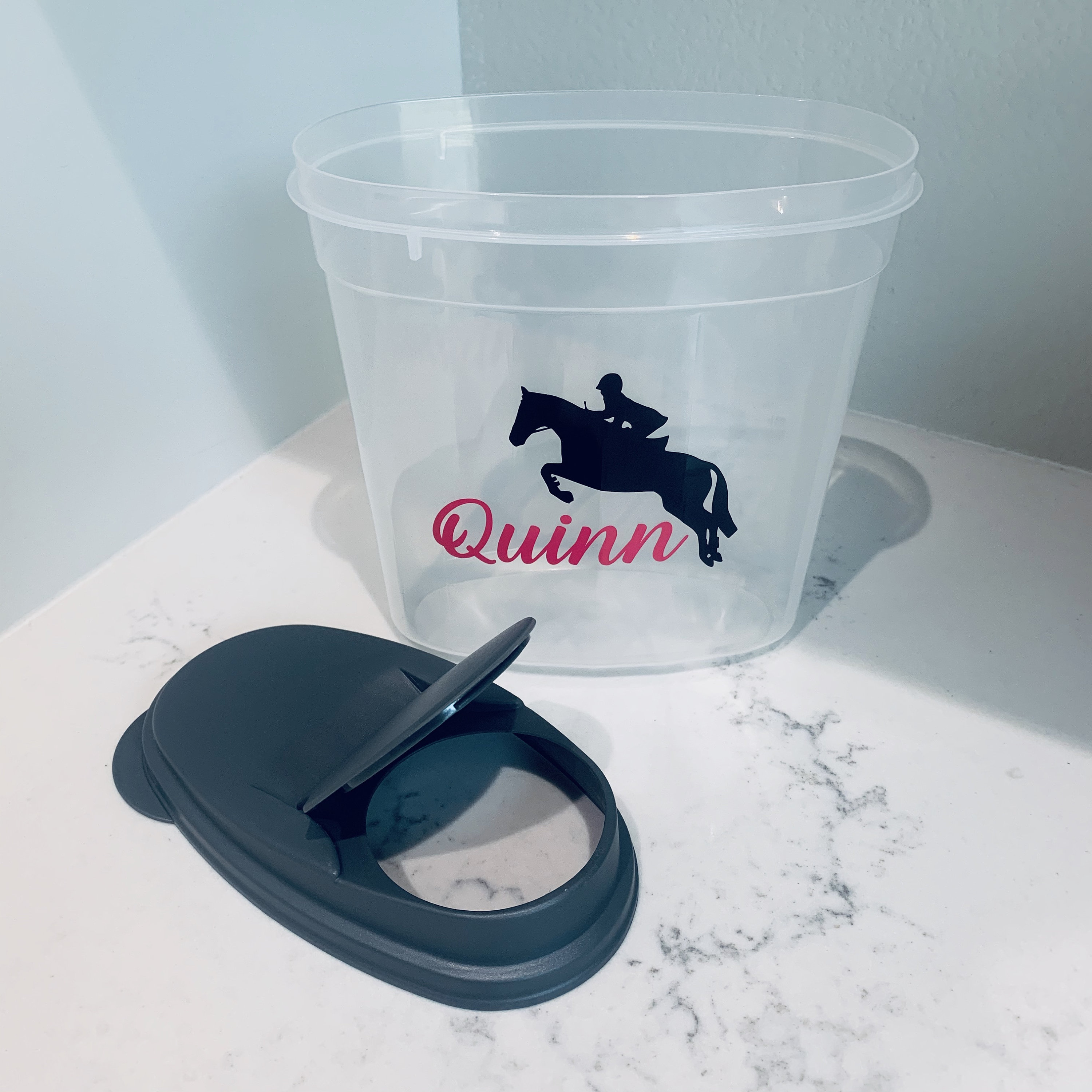 Hunter Horse Treat Container Treat Container Equestrian Etsy