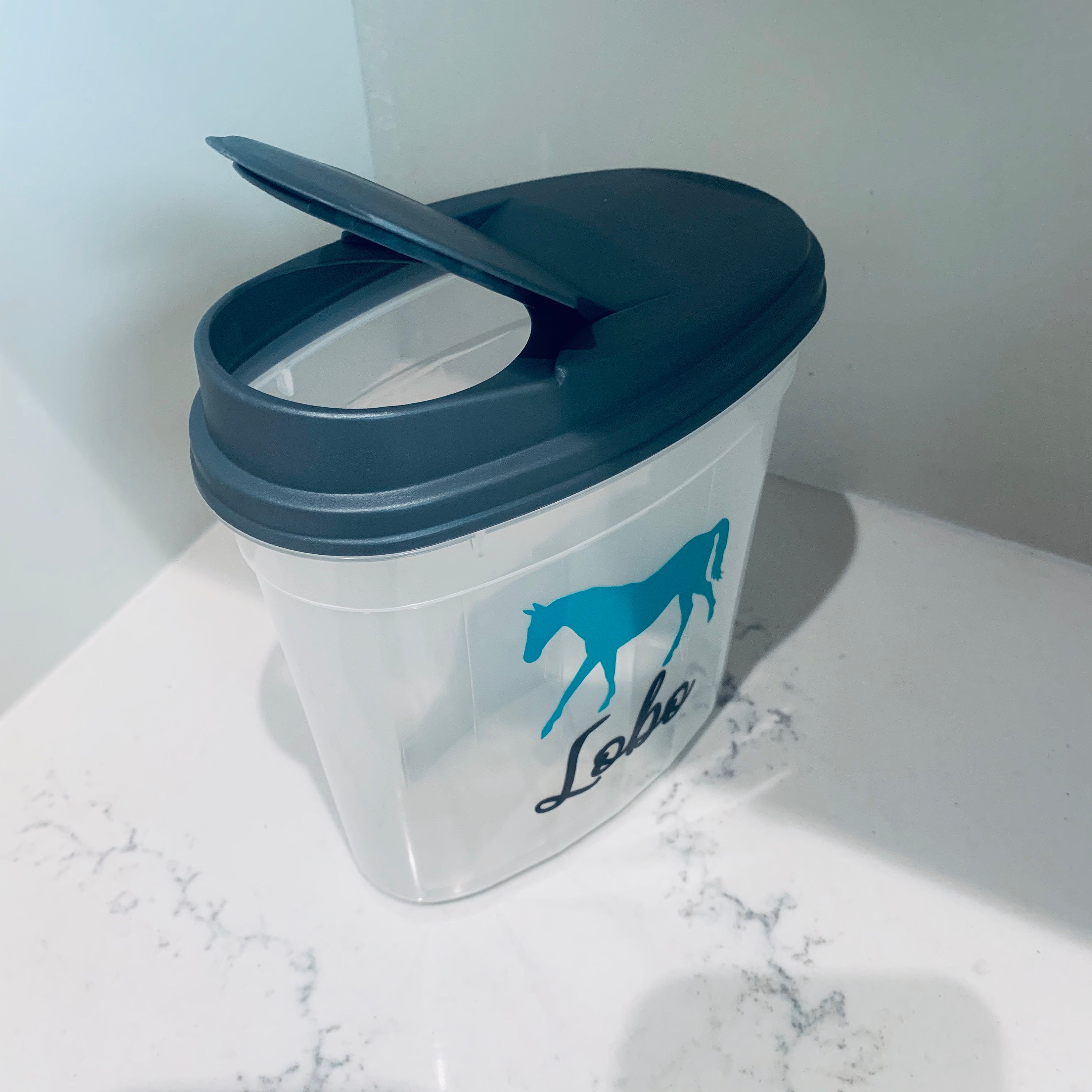 Walking Horse Treat Container Treat Container Equestrian Etsy