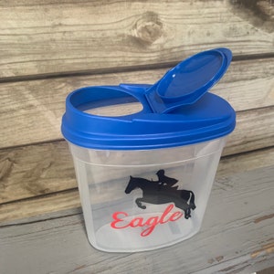 Hunter Horse Treat Container, Personalized Treat Container, Equestrian ...