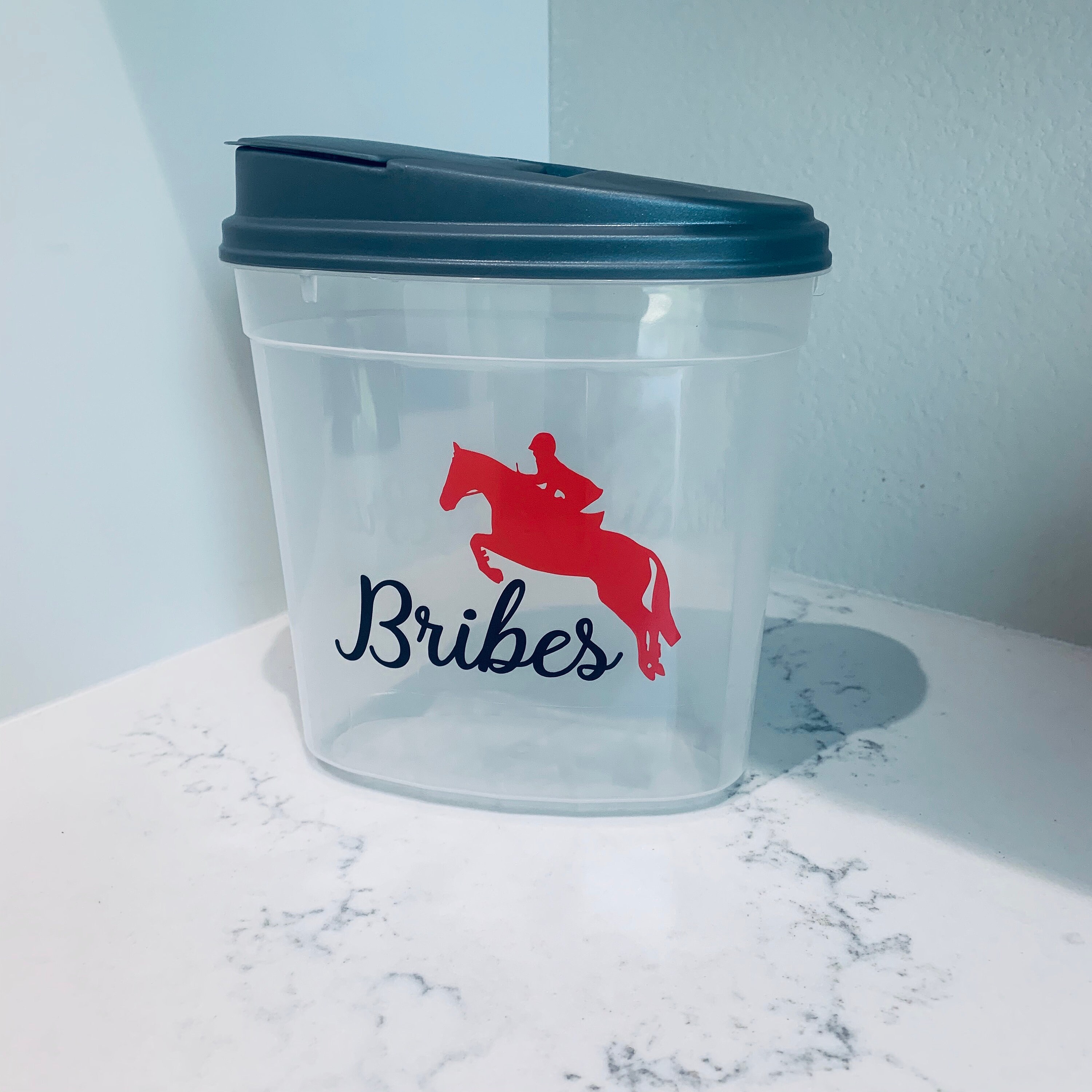 Hunter Horse Treat Container Treat Container Equestrian Etsy