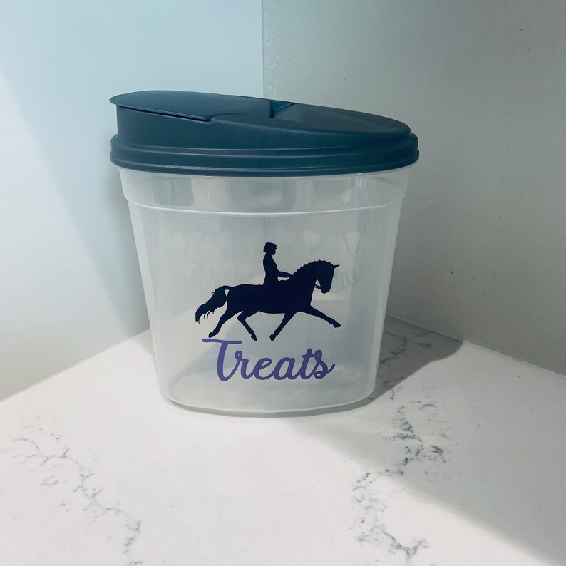 Dressage Horse Treat Container Treat Container Equestrian Etsy
