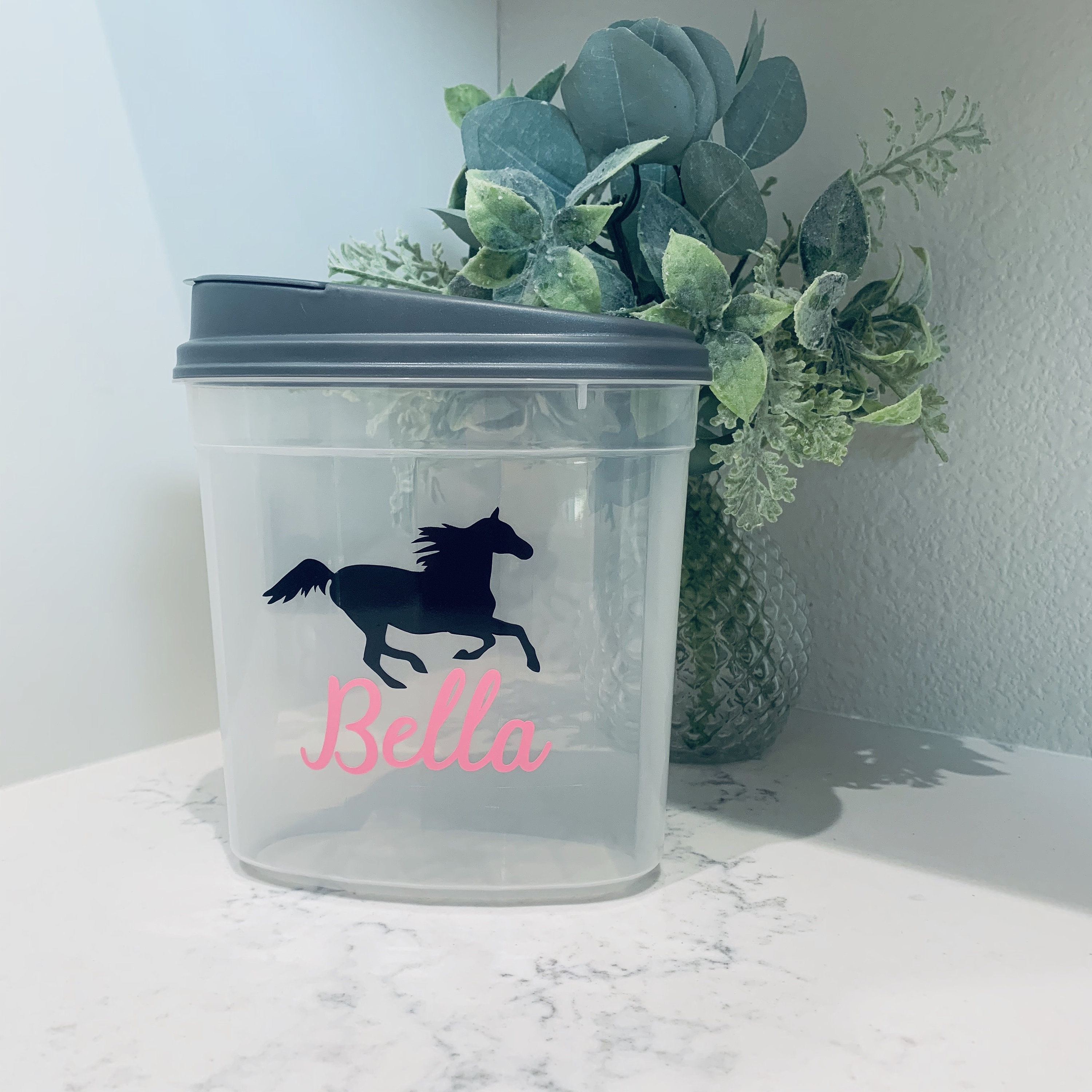 Galloping Horse Treat Container Treat Container Equestrian Etsy