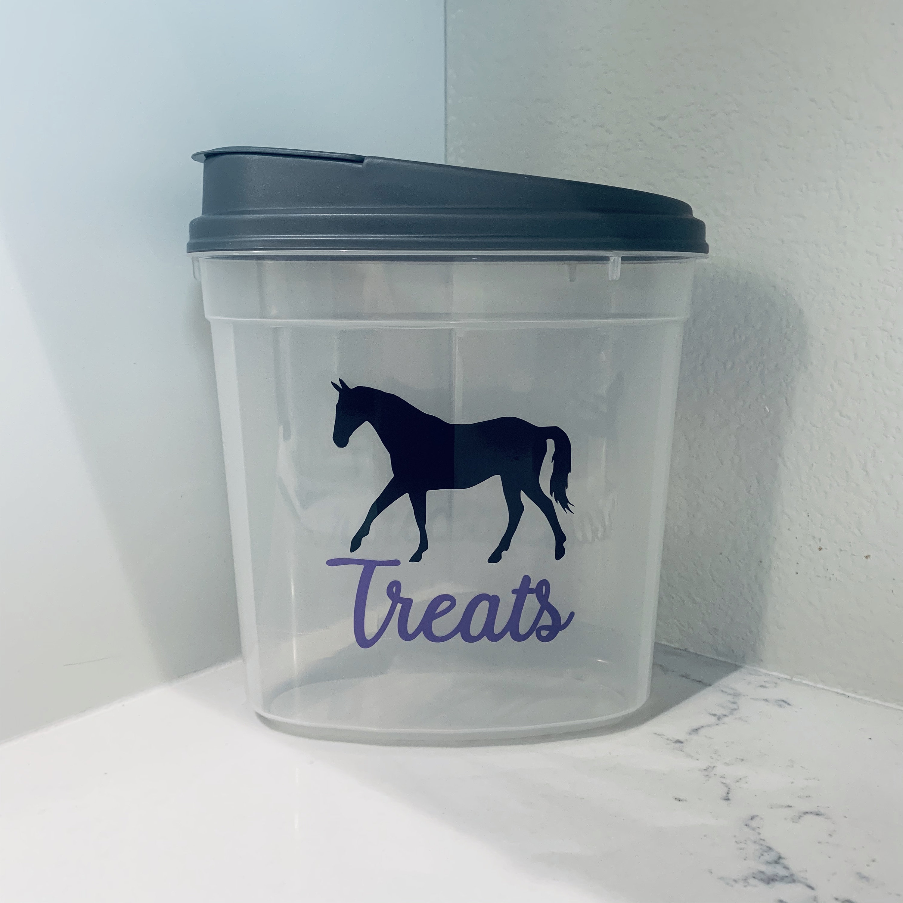 Walking Horse Treat Container Treat Container Equestrian Etsy