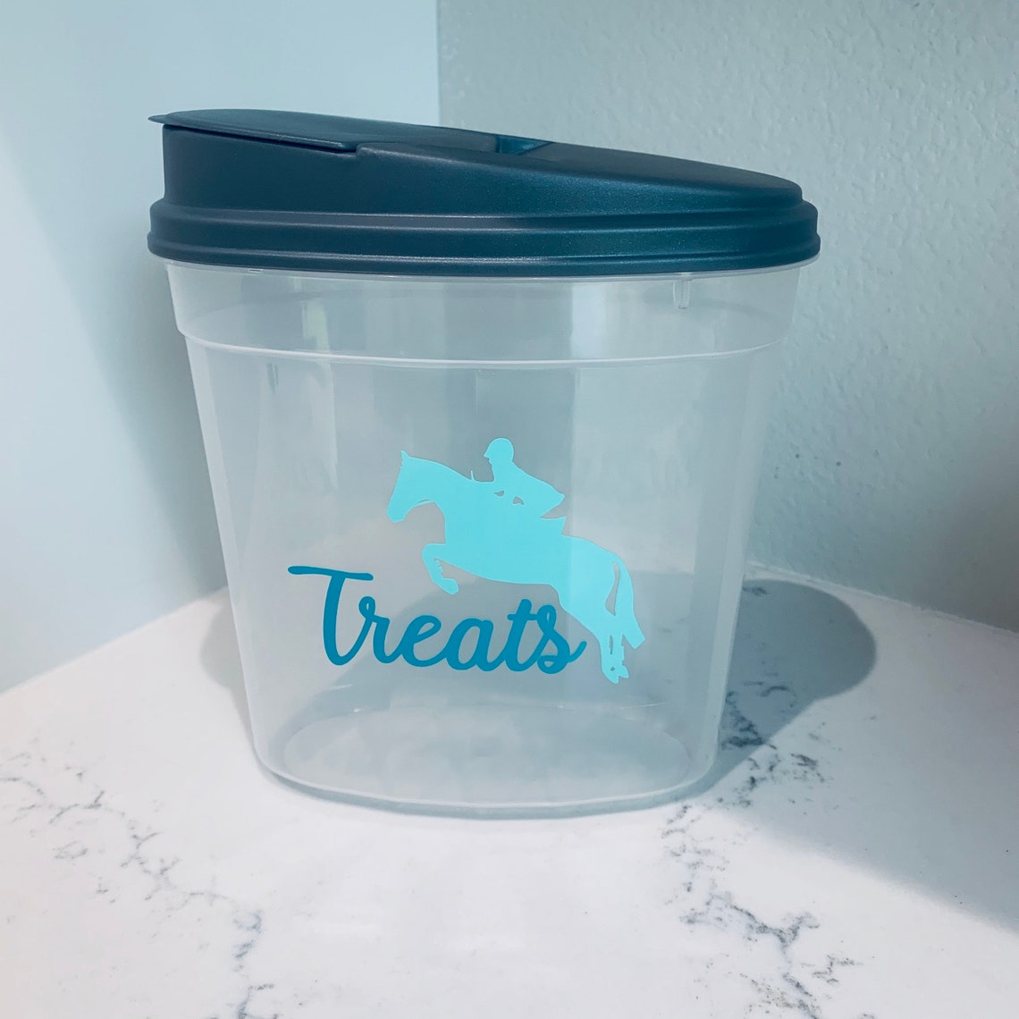Hunter Horse Treat Container Treat Container Equestrian Etsy