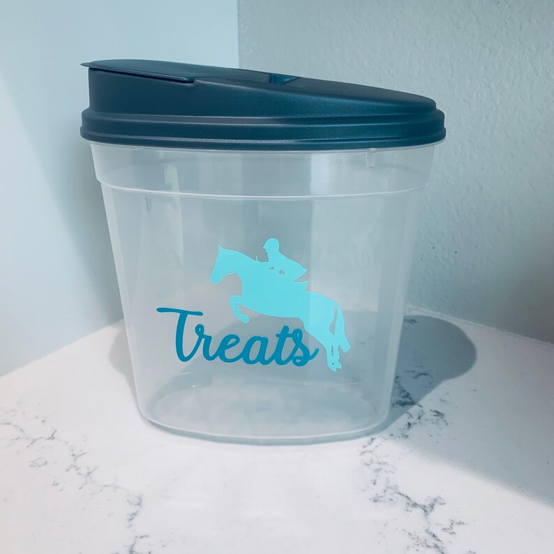Hunter Horse Treat Container Treat Container Equestrian Etsy