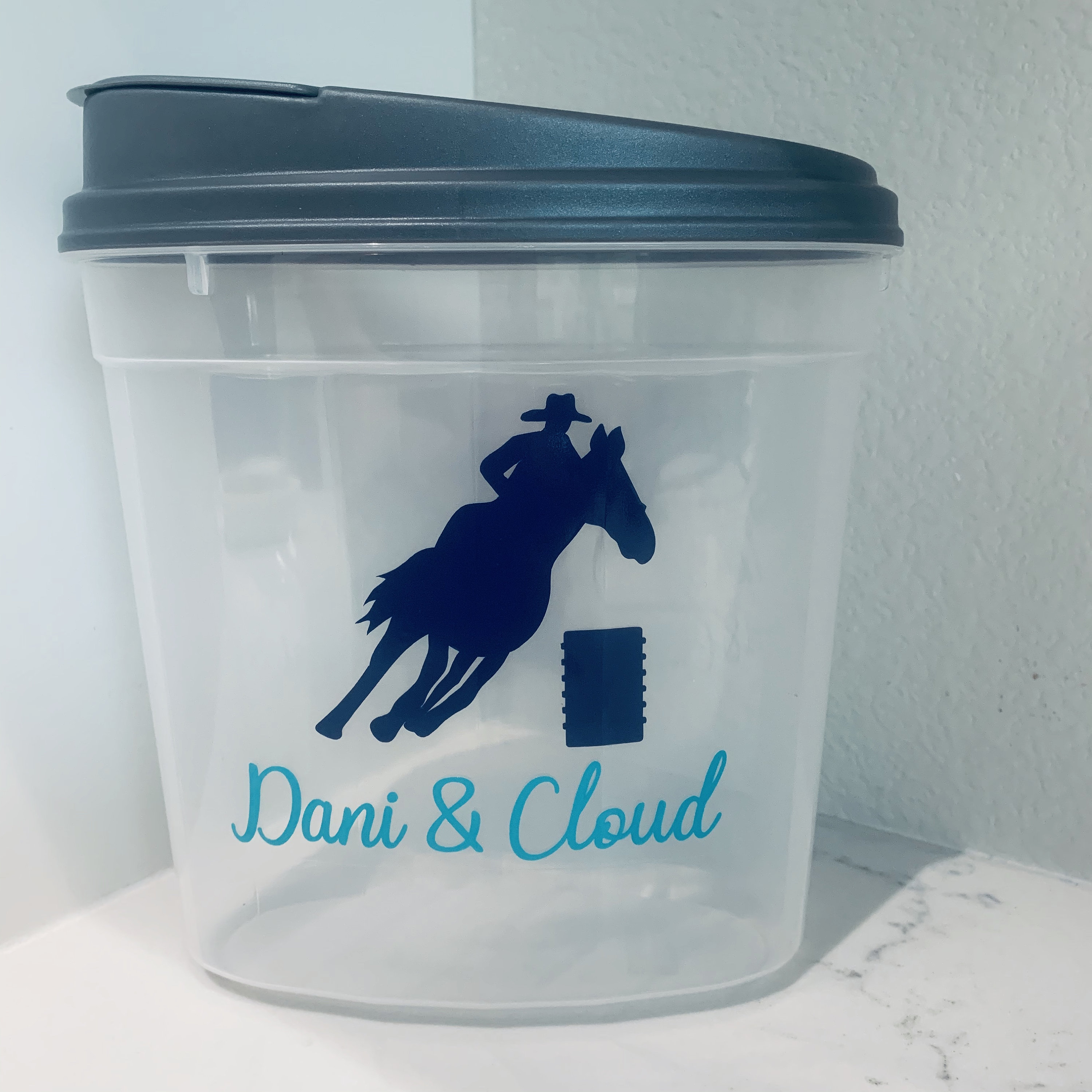 Barrel Horse Treat Container Treat Container Equestrian Etsy