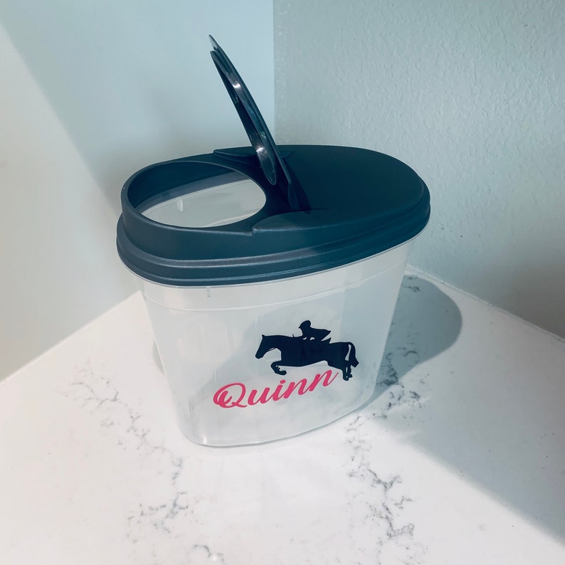Hunter Horse Treat Container Treat Container Equestrian Etsy