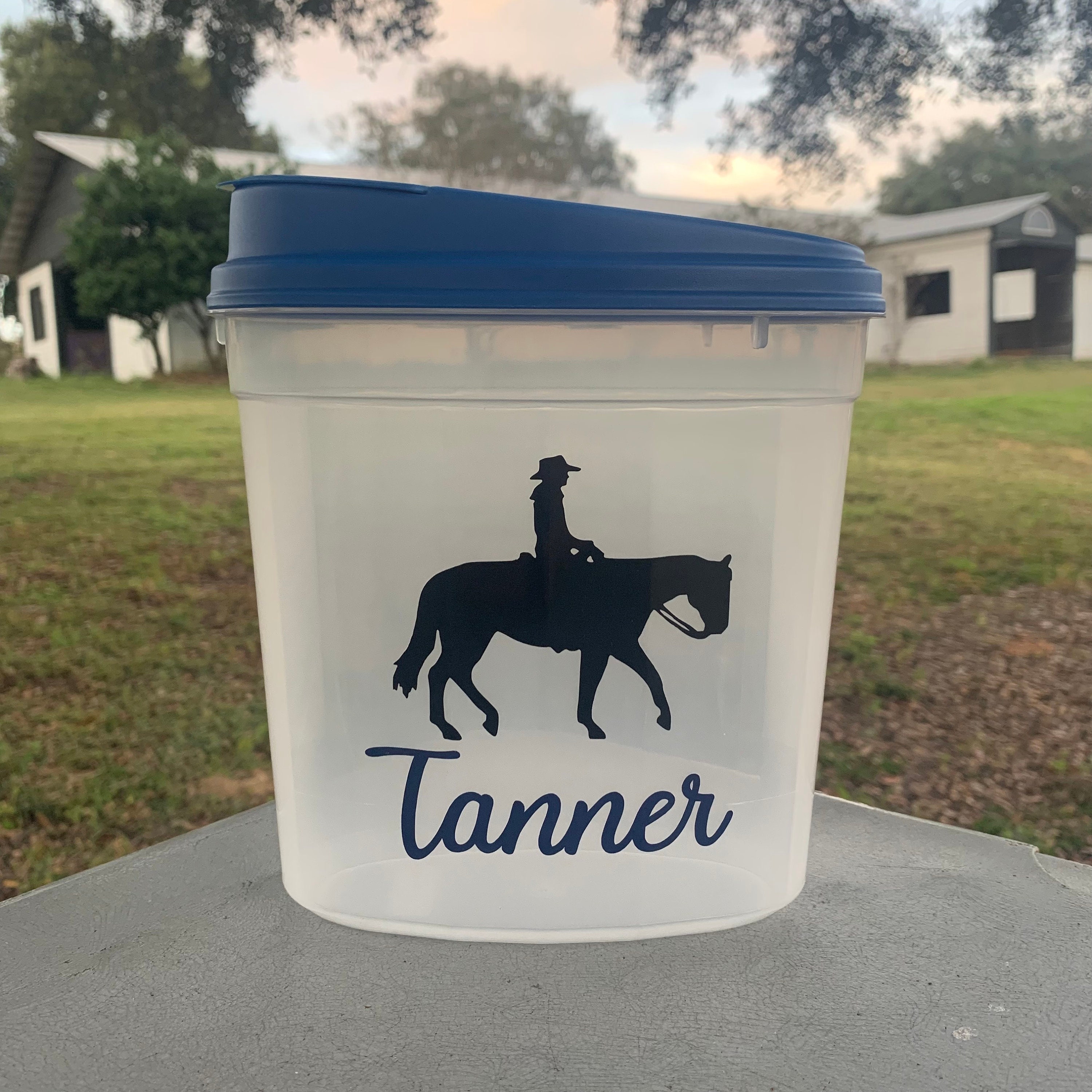 Western Horse Treat Container Treat Container Equestrian Etsy