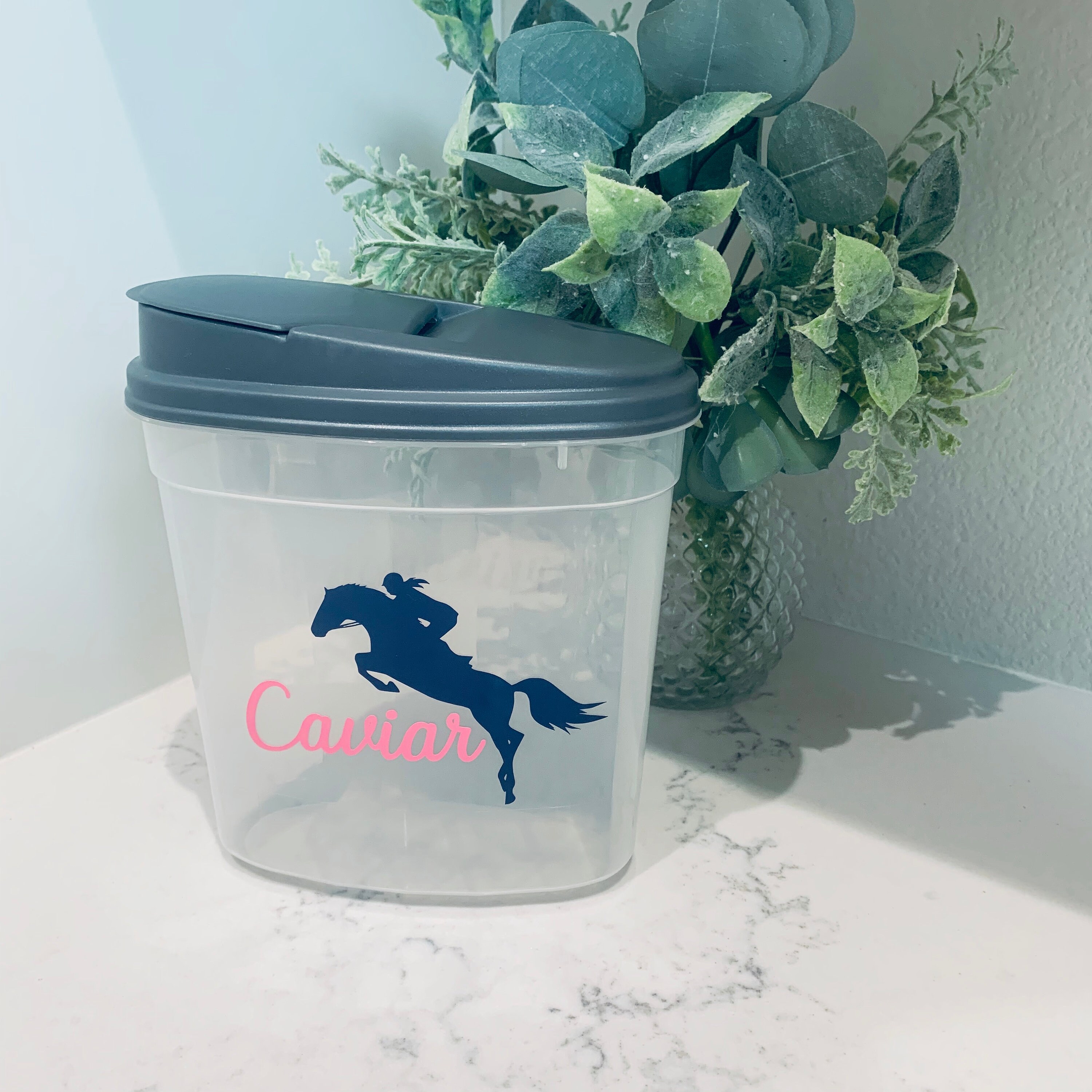 Jumper Horse Treat Container Treat Container Equestrian Etsy