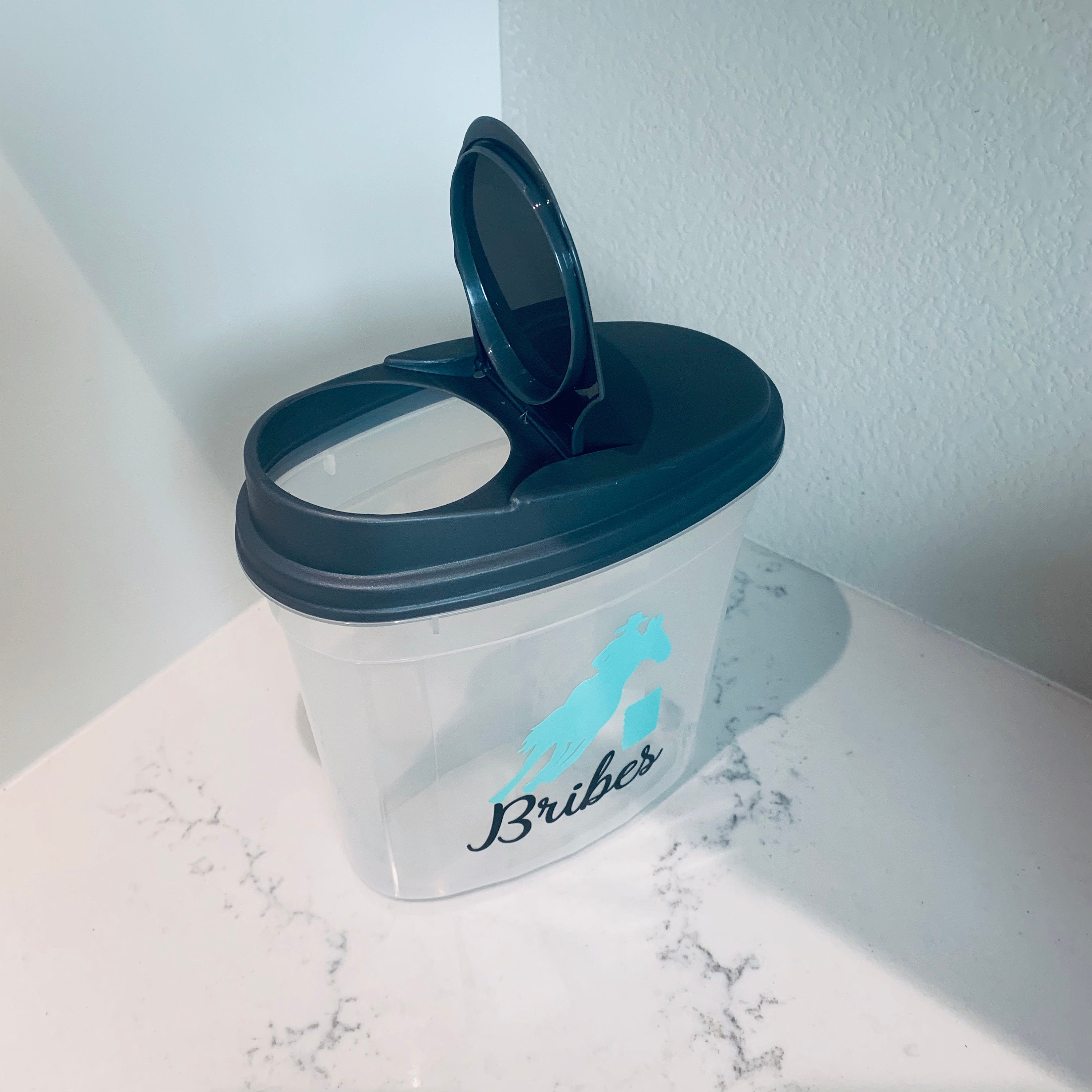 Barrel Horse Treat Container Treat Container Equestrian Etsy