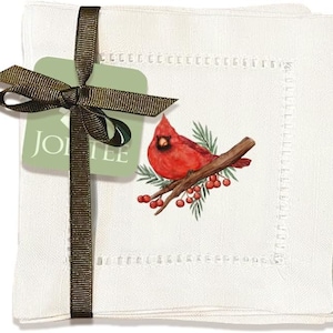 Jolitee Leinen Cocktail Servietten 150x150 cm, Hohlsaum Cocktail Servietten Untersetzer, Waschbar Stoffservietten Dekorativ (Kardinal)