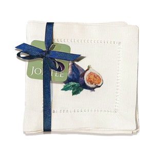 Jolitee Linen Cocktail Napkins 6x6, Hemstitch Cocktail Napkins Coasters, Washable Cloth Napkins Decorative (Watercolor Fruits)