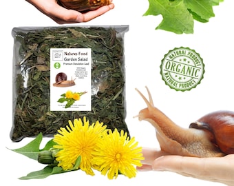 Garden Salad Dandelion, For Giant African land snails, Garden Snails, Reptiles, Tortoises and Furry Creatures Such as Chinchillas, Degu