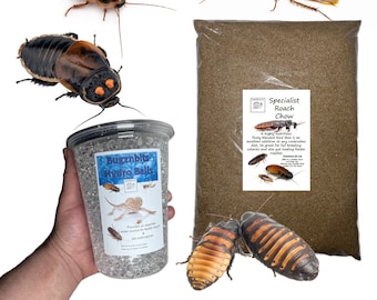Specialist Roach Feed & Hydration Pack , Dubia Cockroach, Madagascar Hissing Cockroach, Roach Chow and Bug Gel Balls