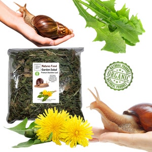 May include: A bag of dried dandelion leaves labelled "Natures Food Garden Salad Premium Dandelion Leaf" with a snail on the label. The bag is next to two yellow dandelion flowers and a green dandelion plant. There is a green seal that says "Natural Product Organic Natural Product".