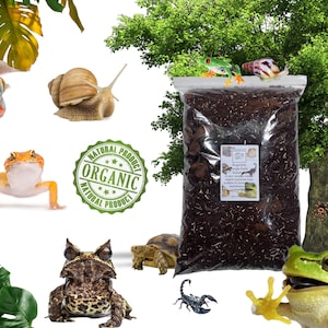 May include: A bag of brown organic reptile bedding with a green "Natural Product Organic Natural Product" stamp. The bag is surrounded by various reptiles, including a green tree frog, a brown frog, a red gecko, a snail, a turtle, and a scorpion.