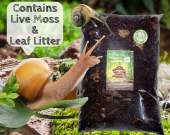 Premium Plus + Woodland, Giant African Land Snail Substrate, Coco-Coir, Prepared and ready to use