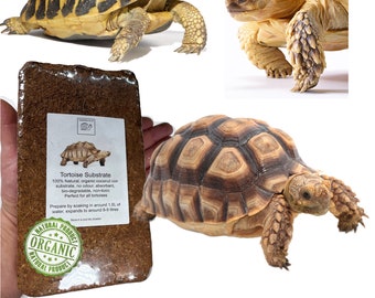 Tortoise Substrate, Tortoise Soil, 8-9L Block, Natural Organic Coco-coir, Great for Tortoise's and other Reptiles