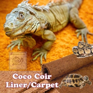May include: A brown coco coir liner or carpet for reptile enclosures. The liner is rolled up and a green iguana, a brown snake, and a tortoise are shown on the liner. The text "Coco Coir Liner/Carpet" is on the image.
