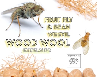 Wood Wool Excelsior, Fruit Fly & Bean Weevil Breeding Insect Culture