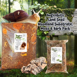 May include: A giant snail sits on a bag of woodland substrate, with a bag of moss and bark pack. The image includes text that reads "Bugznbits Land Snail Woodland Substrate, Moss & Bark Pack."
