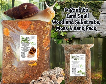 Woodland Substrate Set Up Pack For Keeping Land Snails, Snail Soil 100% Organic