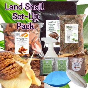 Bugznbits Standard Substrate, Giant African land Snail Setup Pack 10 items included Calcium