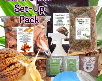 Bugznbits Standard Substrate, Giant African land Snail Setup Pack 10 items included Calcium