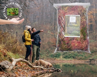 Forest Floor Sphagnum Moss, 100% Natural and Freshly Hand Picked, Snails, Reptiles, Amphibians, Invertebrates