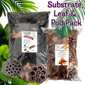 May include: A Substrate, Leaf & Pod Pack featuring two bags of substrate and leaf litter. The clear bags display the contents. The text "Premium Millipede, Beetle & Woodlice Substrate" and "Premium Leaf Litter" are visible. Lotus pods are in the foreground.
