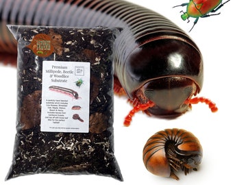 Premium Millipede, Beetle & Woodlice Substrate, Edible Substrate, Contains live Moss and Leaf Litter, Organic Natural Blend