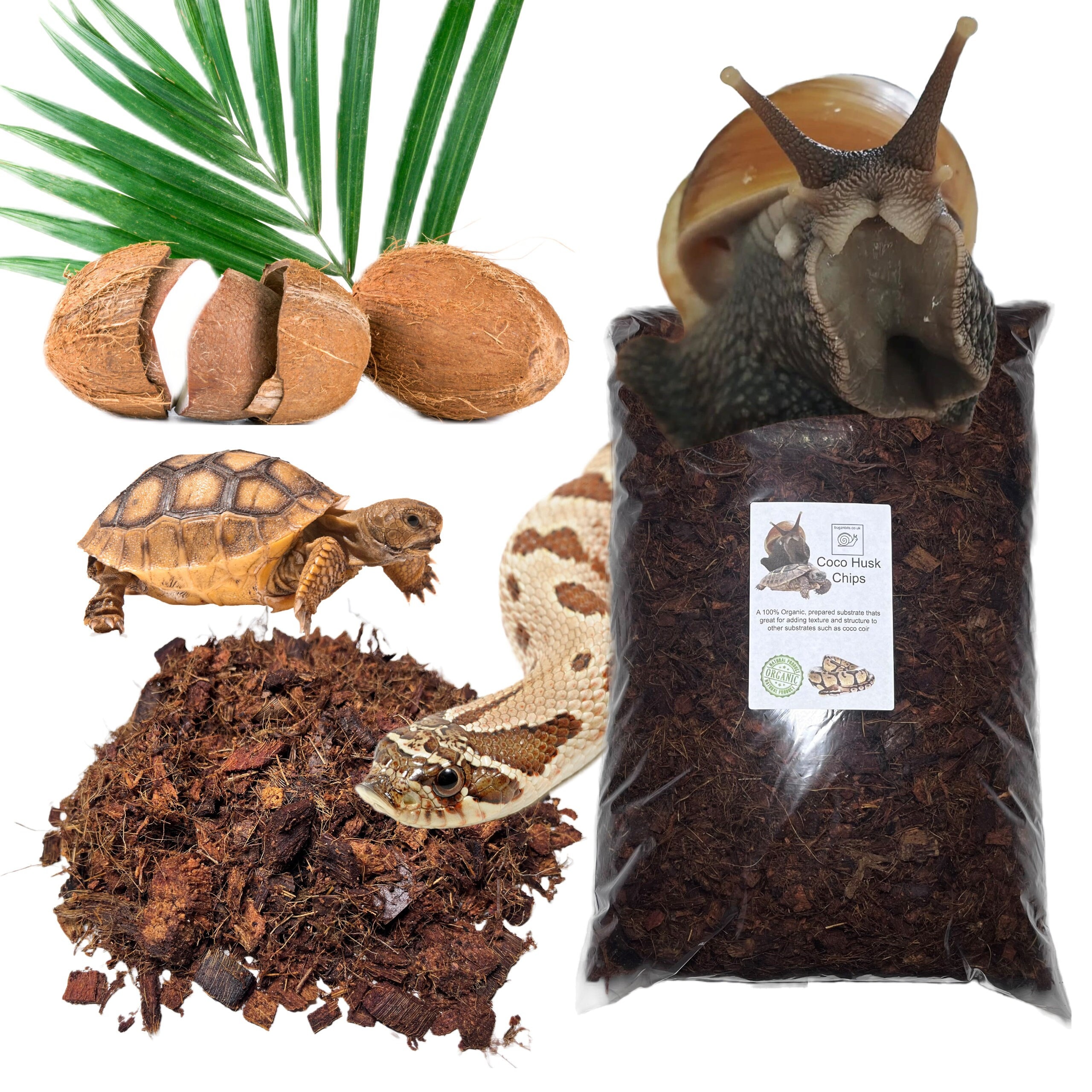 Coco Coir Husk Chips Fully Prepared 100 Organic Substrate Snails Snakes Tortoises Spider and Other Reptiles Etsy