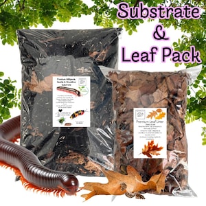 May include: Two sealed bags of substrate and leaf litter for invertebrates. One bag is dark with a label that reads "Premium Millipede, Beetle & Woodlice Substrate." The other bag is filled with brown leaves and has a label that reads "Premium Leaf Litter."