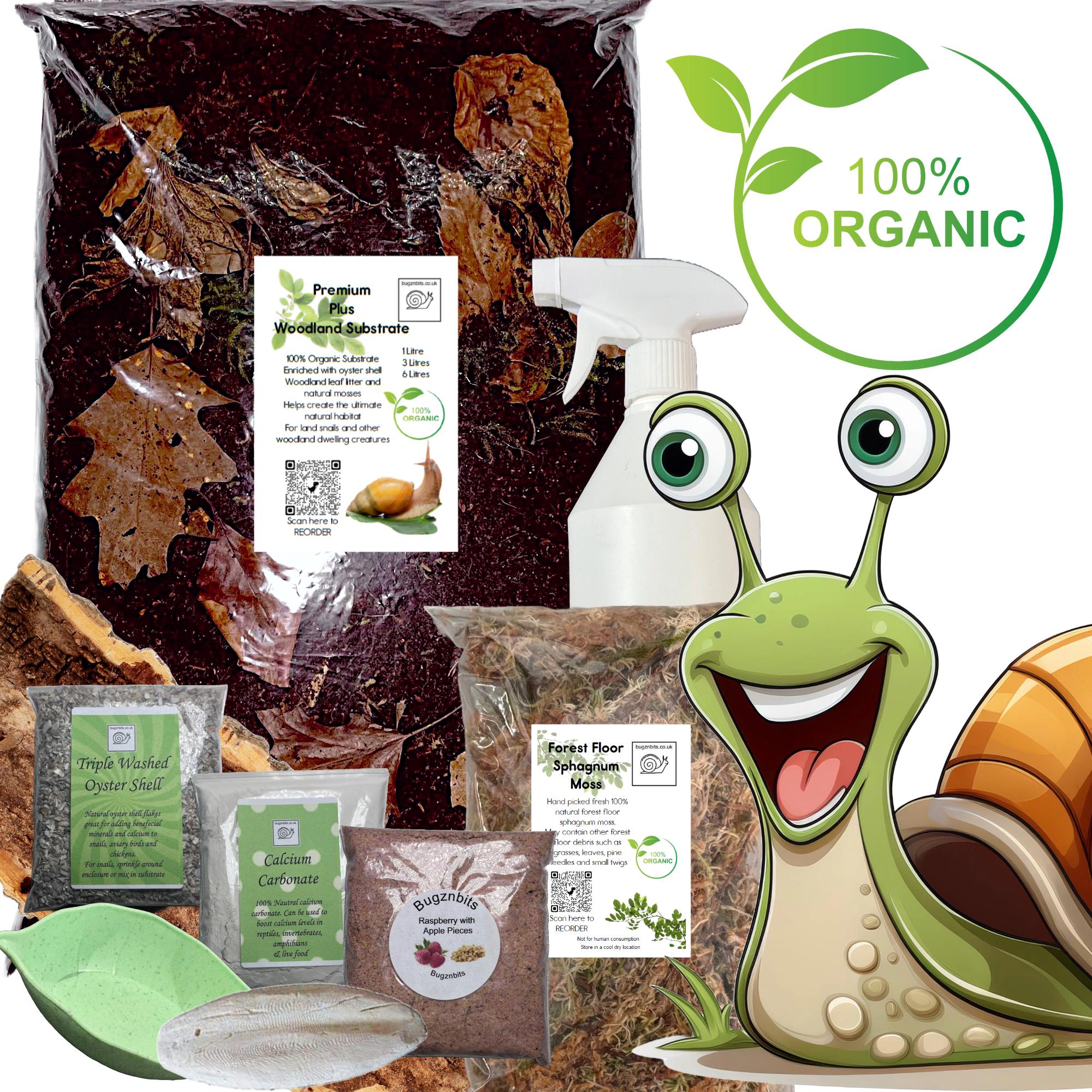 thumbnail image 2 of InsectsDirect Complete African Land Snail Starter Kit - With UK Plug Heat Mat 2 of 4