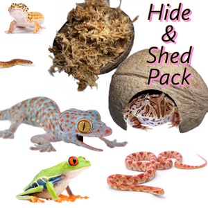 May include: A hide and shed pack for reptiles, featuring a coconut shell hide, a moss-filled hide, a leopard gecko, a red-eyed tree frog, a corn snake, and an African dwarf frog.