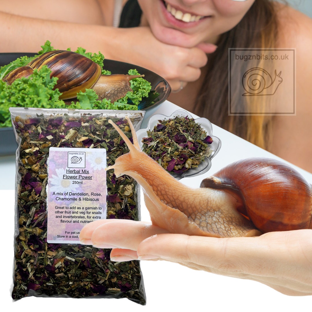 Herbal, Giant African Land Snail Food, Organic Natural Mix, Flower Power, for All Types of