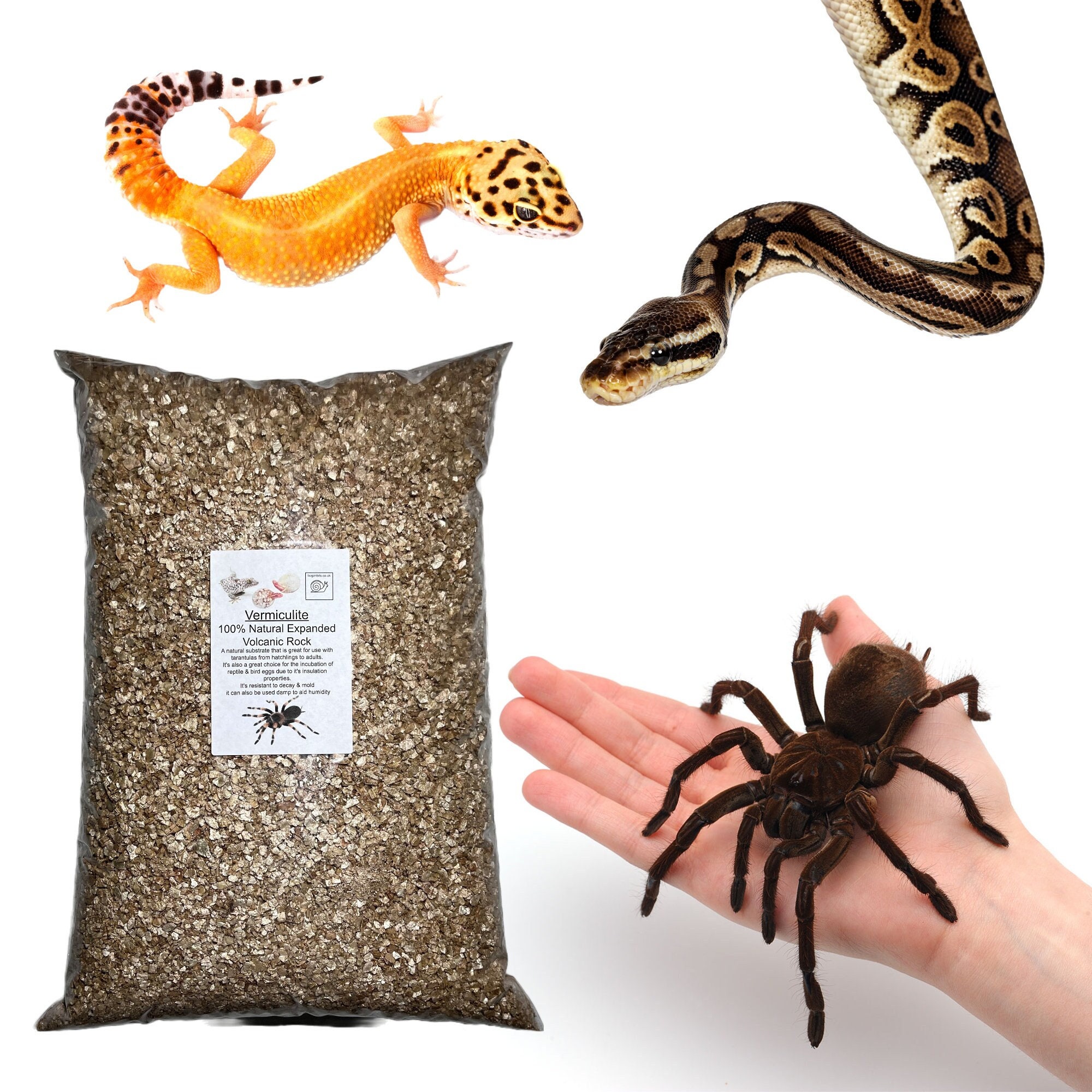 Where should I buy my tarantula supplies from? Enclosures, hides,  substrate, etc. I'm having a hard time finding them locally. : r/tarantulas