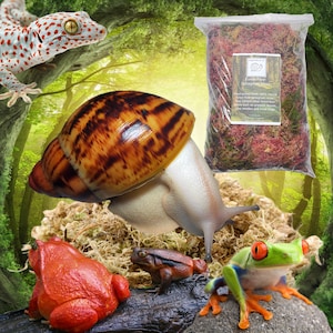 May include: A bag of Forest Floor Sphagnum Moss, a large brown snail, a red frog, a green frog with red eyes, and a gecko with white and orange spots. The moss is a natural product and is ideal for use in terrariums and vivariums.