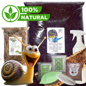 Bugznbits Premium Substrate, Giant African land Snail Setup Pack 9 items included Calcium