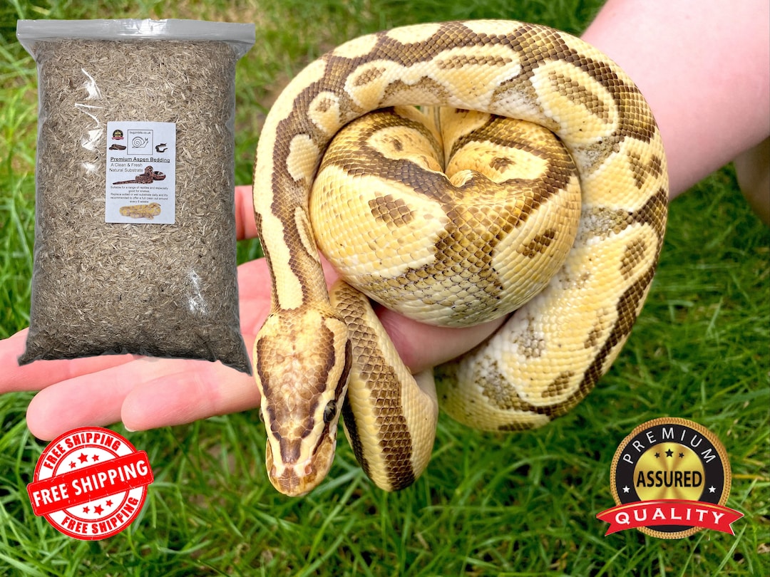 Premium Aspen Bedding, Natural Substrate That's Great for Snakes
