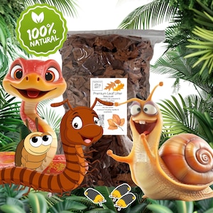Premium Leaf Litter, Great For Millipedes, Snails, Frogs, Woodlice, Beetles & Reptiles Bio Active