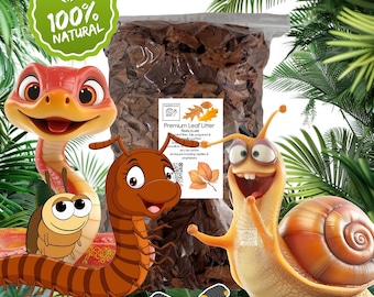 Premium Leaf Litter, Great For Millipedes, Snails, Frogs, Woodlice, Beetles & Reptiles Bio Active