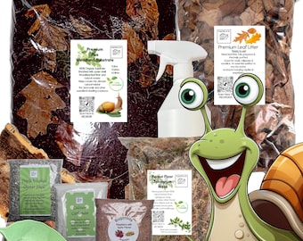 Bugznbits WOODLAND Giant African land Snail Setup Pack 10 items included Calcium