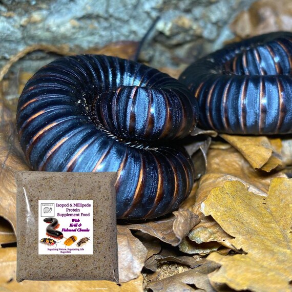 All Things Nature Soil Enrichment Wood Mix – Substrate For Isopods, Millipedes, Arthropods – UK Made