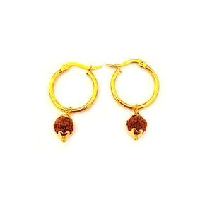 May include: Gold hoop earrings with a small brown bead charm hanging from each hoop.