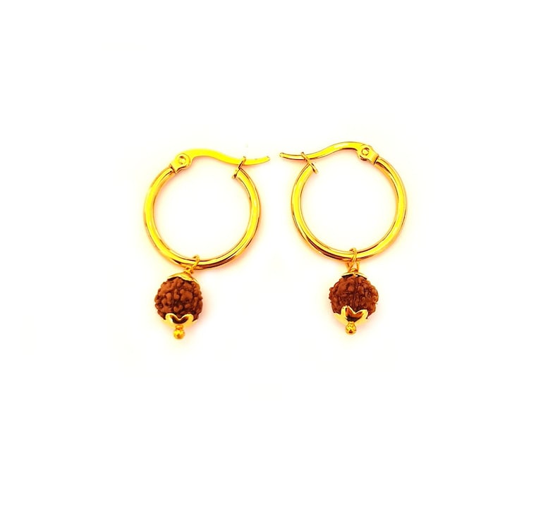 May include: Gold hoop earrings with a small brown bead charm hanging from each hoop.