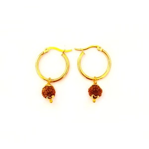 May include: A pair of gold hoop earrings with a small brown bead charm hanging from each hoop.