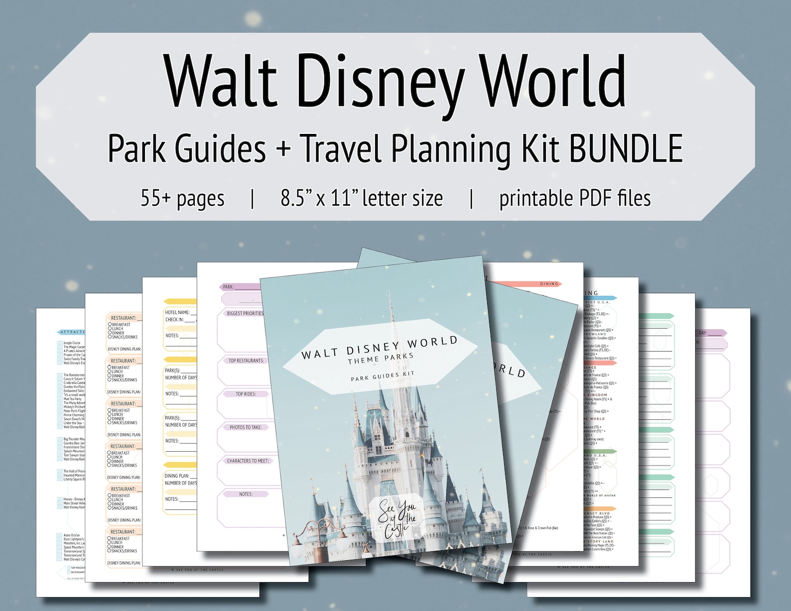 Disney Guide.pdf 2024 Walt Disney World Park Guides + Travel Planning Kit BUNDLE ...