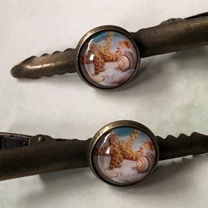 2 grampos de cabelo de crocodilo &quot;Starfish&quot;, grampos de cabelo, com cabochão de vidro 12 mm