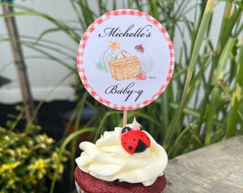 Baby Q & Picnic themed Cupcakes / Dessert Toppers